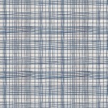 The Plaid One